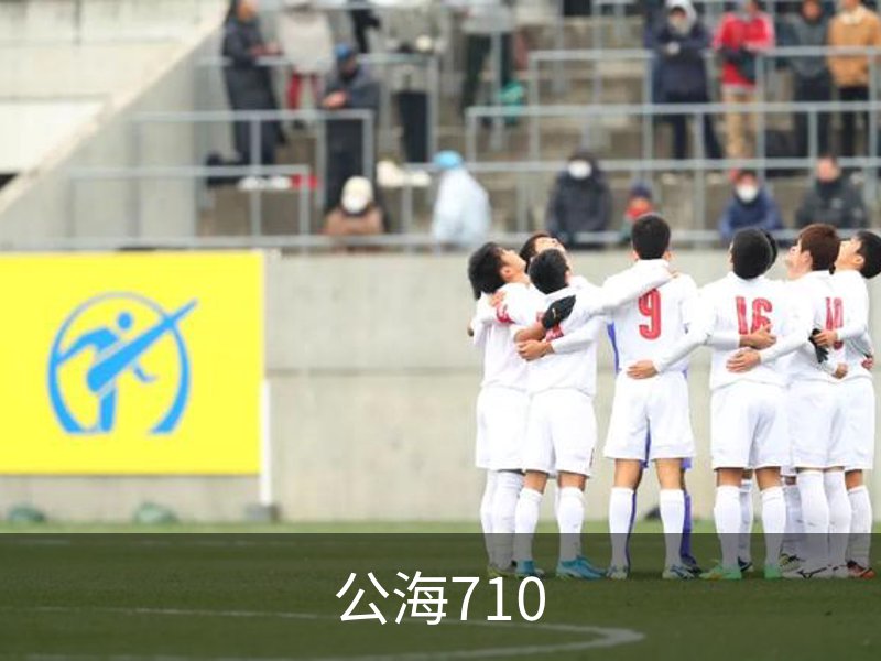 公海710介绍